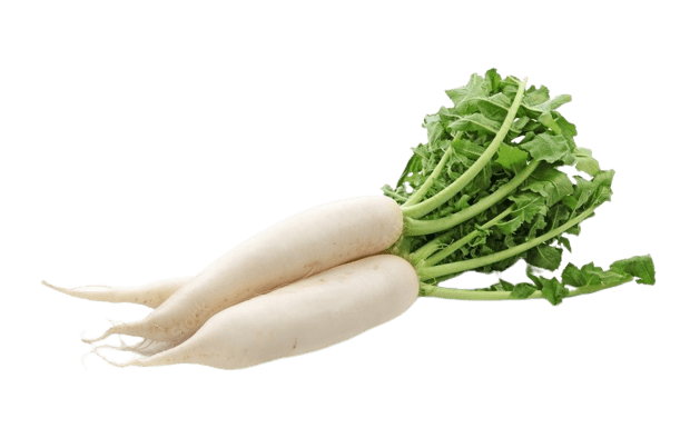 Radish